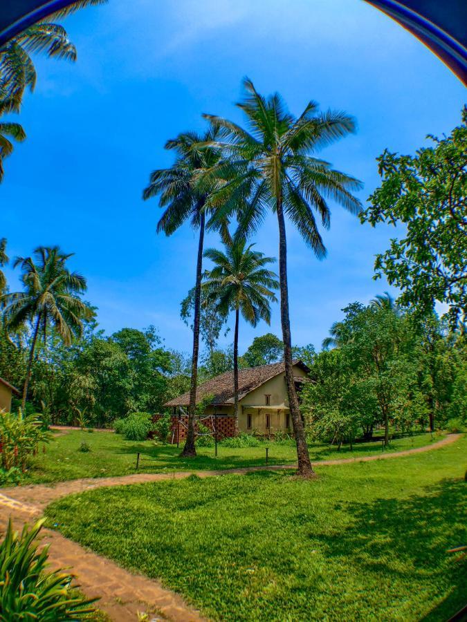 The Orchard Resort Belgaum Exterior foto